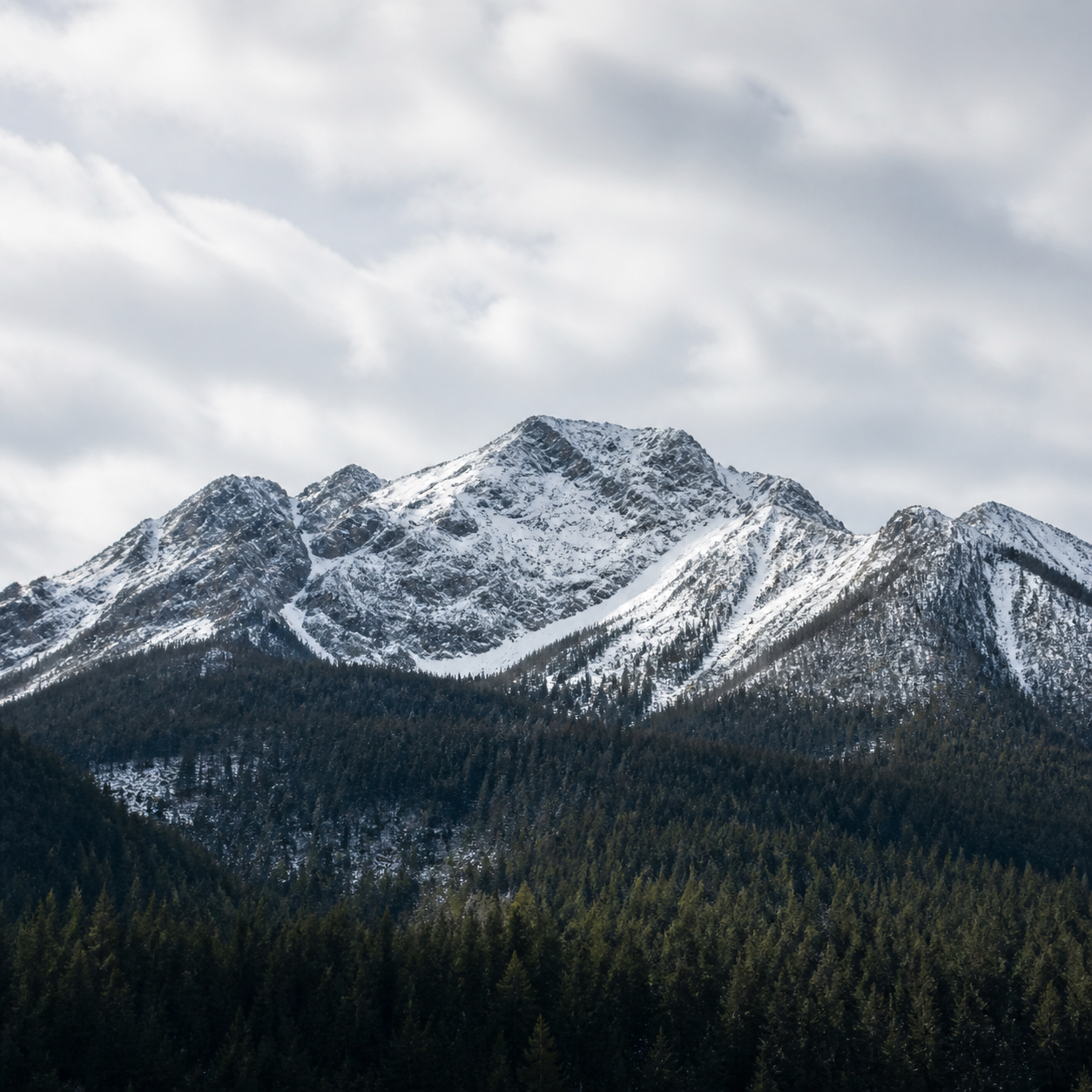 Snowline